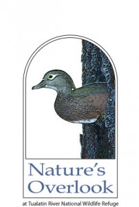 Nature's Overlook Store logo